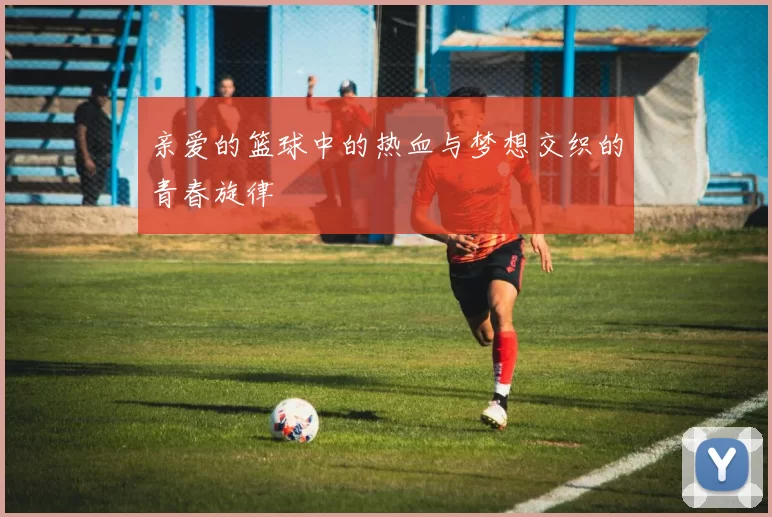 亲爱的篮球中的热血与梦想交织的青春旋律