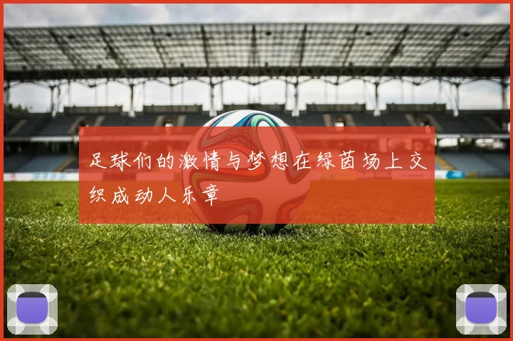 足球们的激情与梦想在绿茵场上交织成动人乐章